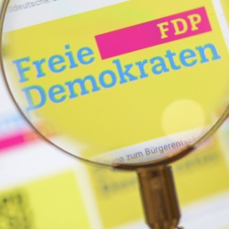 FDP Logo durch eine Lupe angesehen