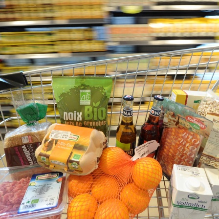 Ein Einkaufswagen gefüllt mit Lebensmitteln aus dem Bioladen