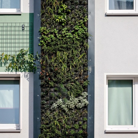 Vertikaler Garten als Grundlage für Urban Farming in Essen