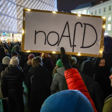 Demonstrationen gegen AfD
