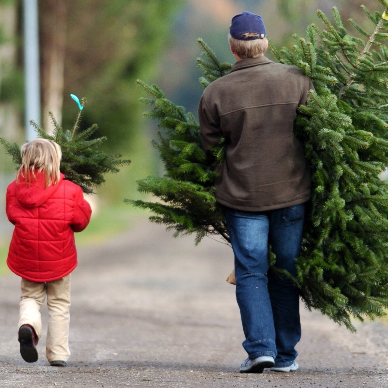Das Beste vom · Was kostet ein Weihnachtsbaum? · Podcast in der