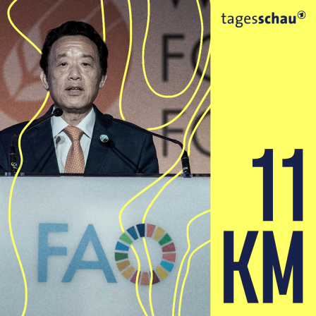 Qu Dongyu, Generaldirektor der FAO, steht an einem Pult und hält eine Rede. 