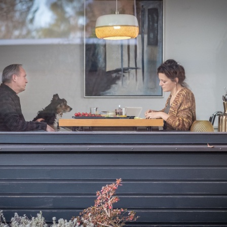 Und wer nimmt den Hund? Von Rainer Kaufmann, Kinostart 8.8.