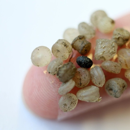 Mikroplastik-Teilchen kleben an einem Klebestreifen an einem Finger.