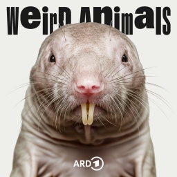 Cover Weird Animals Episode 31 Nacktmull