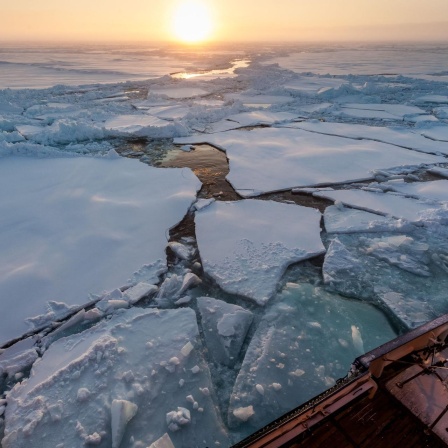 Das deutsche Forschungsschiff "Polarstern" bei ihrer Expedition im Nordpolarmeer. Jetzt wurde neue Forschungsergebniss präsentiert