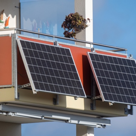 Solarmodule für ein sogenanntes Balkonkraftwerk hängen an einem Balkon. 