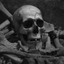 Schädel und Knochen eines Skeletts
