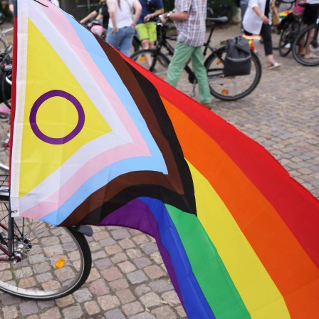 Progressive Pride Flagge