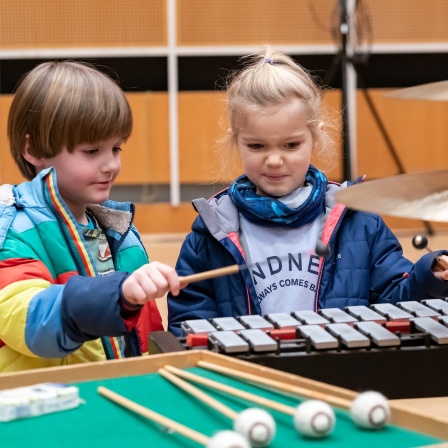 Zwei Kinder schlagen mit einem Schlägel auf ein Xylophon.