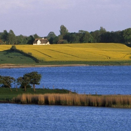 Die Schlei in Schleswig-Holstein