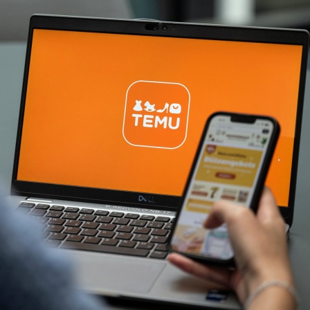 Blick auf einen Laptop mit dem Logo der App Temu (gestellte Szene)