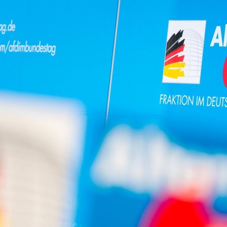Das Logo der AfD Bundestagsfraktion im Deutschen Bundestag am 23.02.2021.
