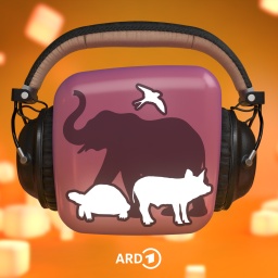 Elefant mit Schildkröte und Schwein auf Würfel mit Kopfhörer.