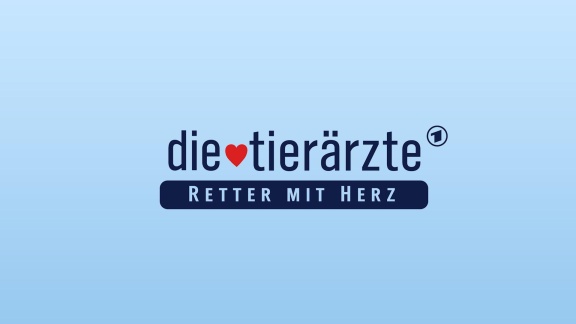 Die Tierärzte - Retter Mit Herz - Folge 54: Der Schönheitsfehler