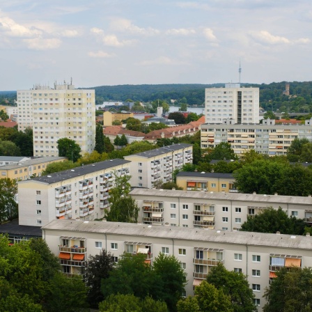 Wohnhäuser in Potsdam