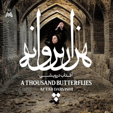 Aufnahmeprüfung: Aftab Darvishi - "A Thousand Butterflies"