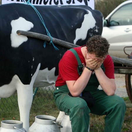 Symbolbild Landwirte im Burnout: Ein Landwirt sitzt und hält die Hände vor sein Gesicht.