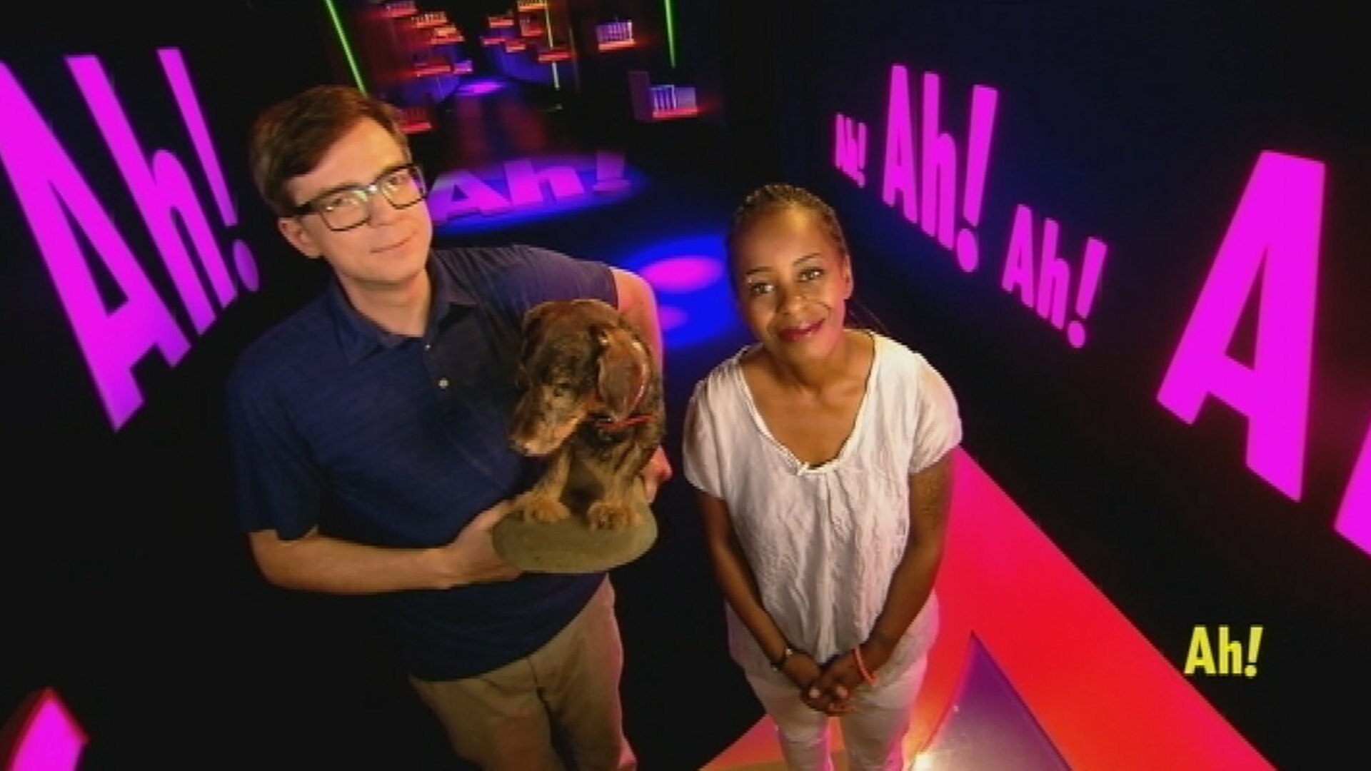 Wissen macht Ah! Eins, zwei, drei, Tier, fünf ARD Mediathek