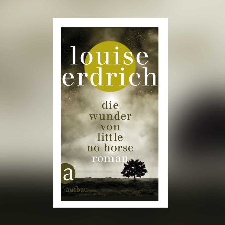 Louise Erdrich: Die Wunder von Little No Horse