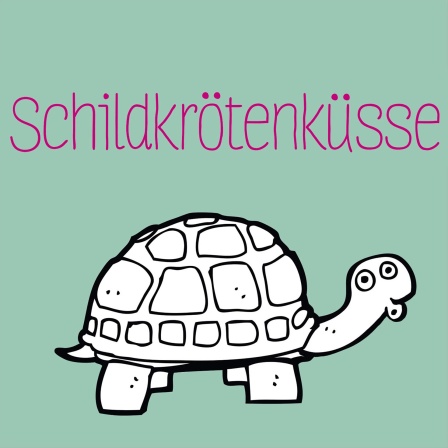 Illustration zum Kinderhörspiel und Jugendbuch  &#034;Antonia rettet die Welt - Schildkrötenküsse&#034; von Katrin Zipse