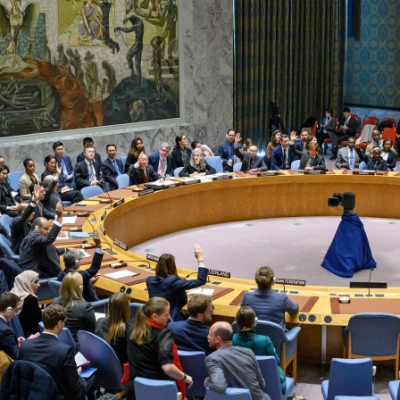 Eine Sitzung des UN-Sicherheitsrates in New York.
