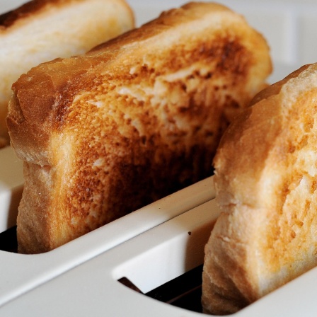 Vier Toastbrote im Toaster