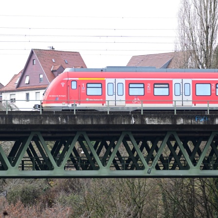 Eine S-Bahn bei Stuttgart-Vaihingen
