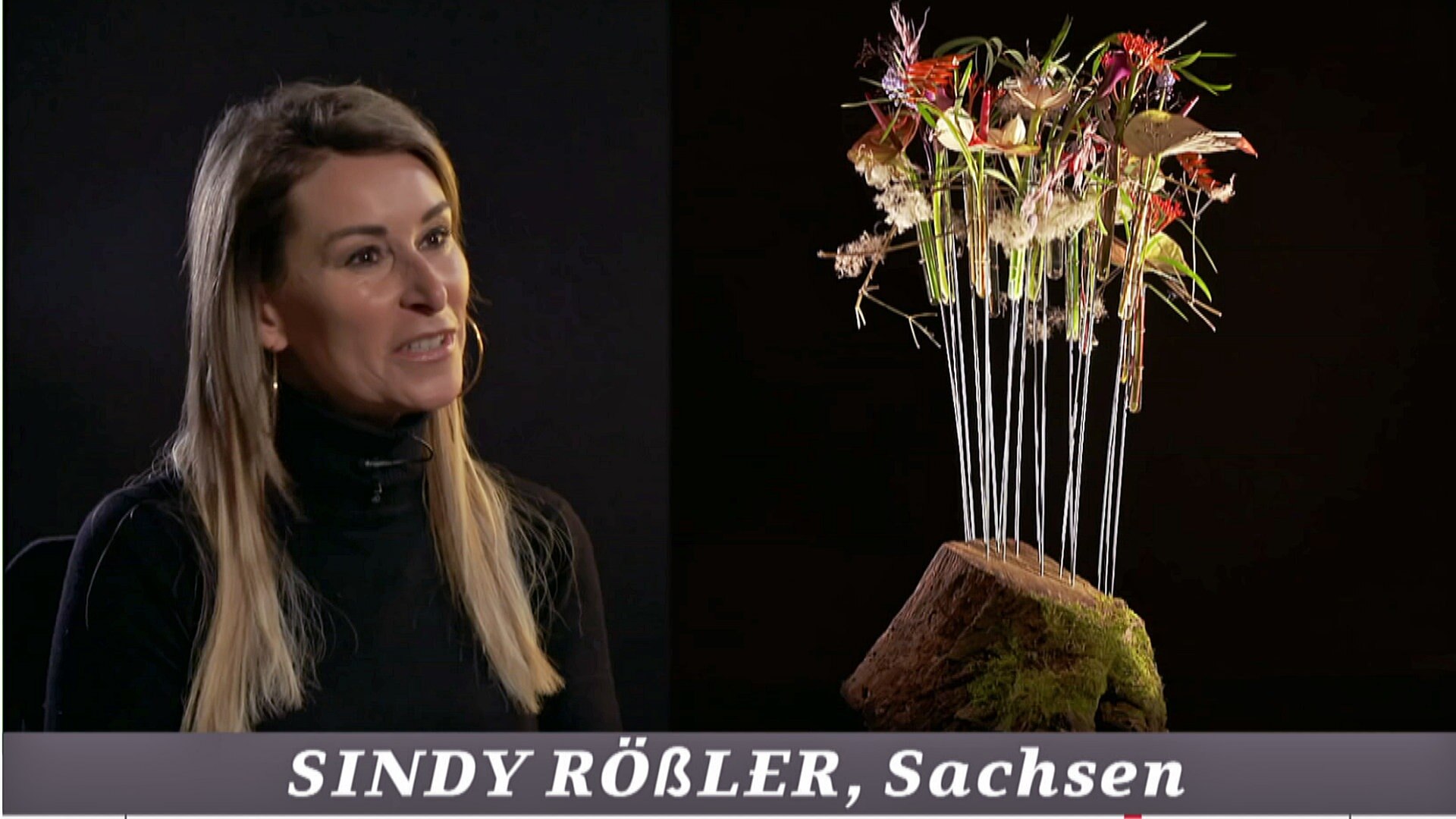 MDR GartenFlorist 2022 Baumwurzel verwandeln Ergebnisse von Aufgabe