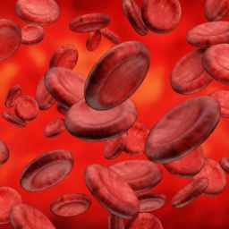 Achtung Thrombose-Gefahr! – Wie schützt man sich gegen Blutgerinnsel?