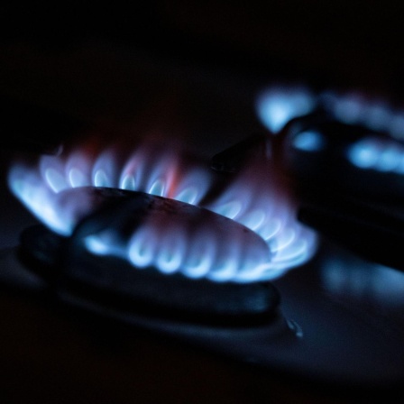 Erdgas und die Alternativen - Energieexperte Michael Sterner im Gespräch