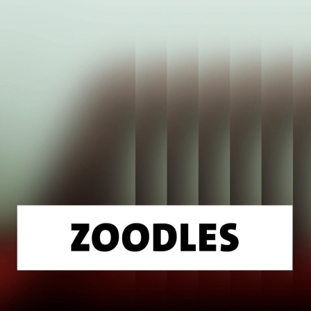 Wort der Woche: Zoodles