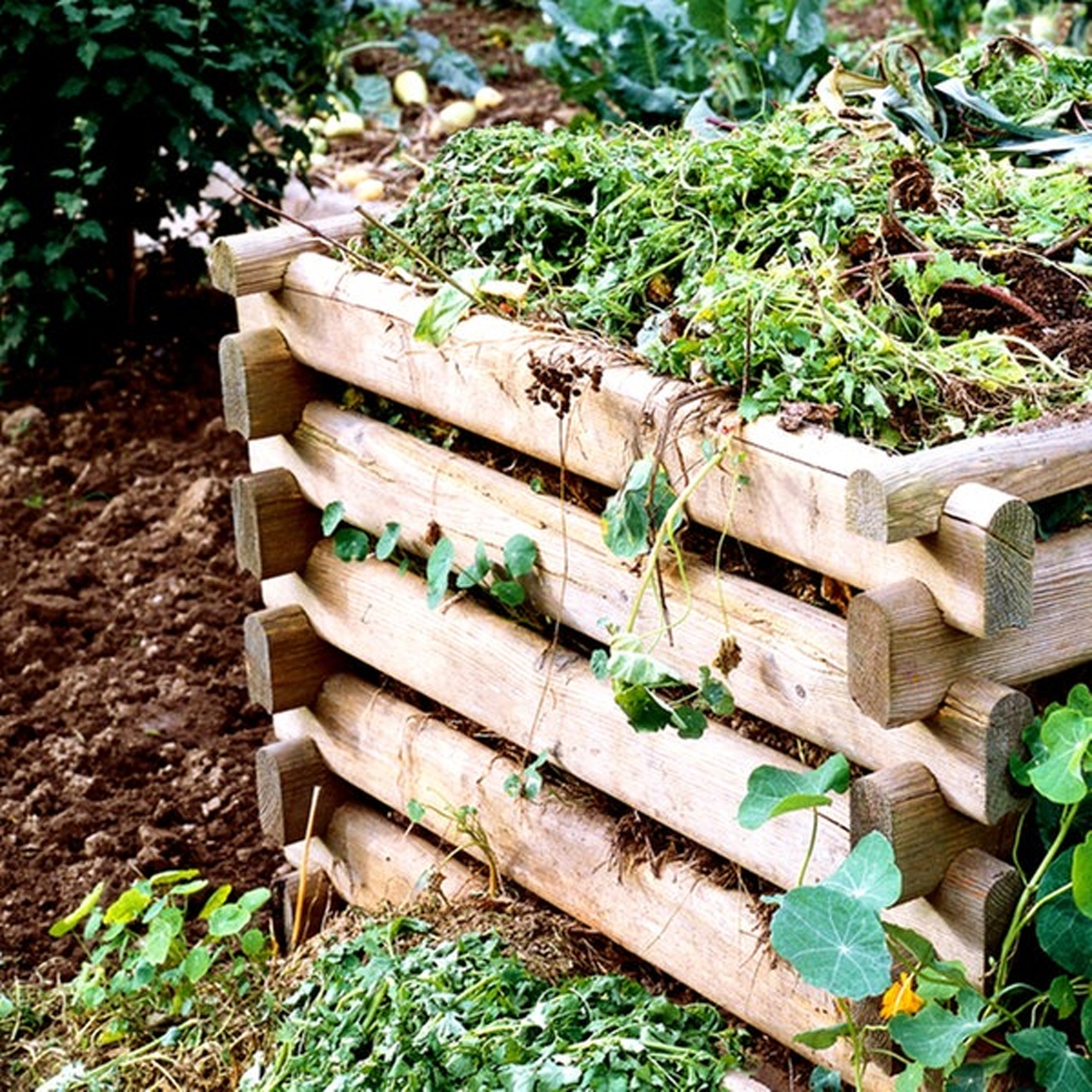 Gartenpodcast Alles Möhre, oder was?! · Kompost Das Gartengold des
