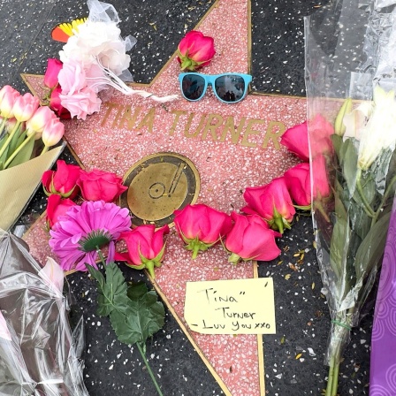 Blumen und Ehrungen auf Tina Turners Stern auf dem Hollywood Walk of Fame.