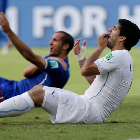 Luis Suarez hält sich die Zähne nachdem er damit in die Schulter von Italiens Giogio Chiellini gelaufen ist.