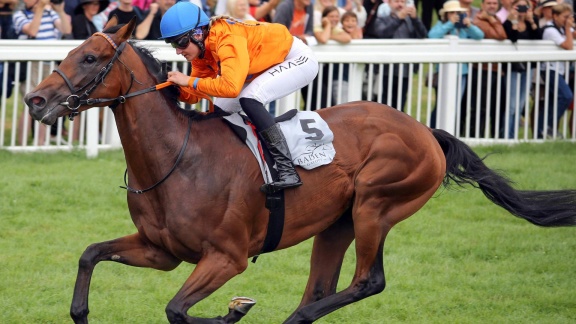 Morgenmagazin - Jockey Lilli-marie Engels - Eine Von Acht Berufsreiterinnen