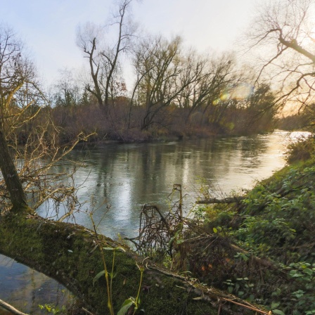 Ein Fluss in der Landschaft