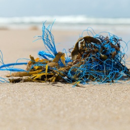 Plastikmüll am Strand