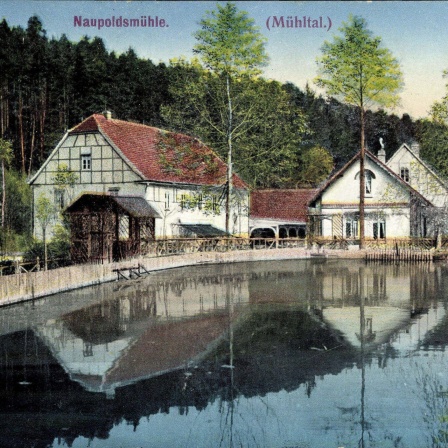 Postkarte - Naupoldsmühle mit Terrasse am Teich, 1915