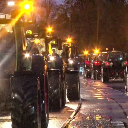 Landwirte mit ihren Traktoren. Sie protestieren gegen die Pläne der Bundesregierung, den Agrardiesel und die Kfz-Steuerbefreiung für die Land- und Forstwirtschaft zu streichen.