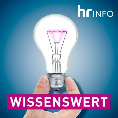 Widerstand gegen Wissenschaft: Von Evolutionsleugnern und Klimaschutzgegnern