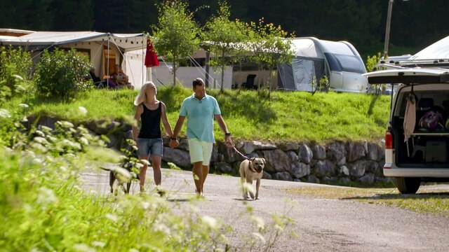 Mit Hunden ins Camperglück. Nadine und Heiko sind frisch verliebt. Beim Campen am Tennsee wird die Beziehung einer ersten Probe unterzogen. Denn Nadine geht oder fährt nirgendwo hin ohne ihre beiden Hunde...