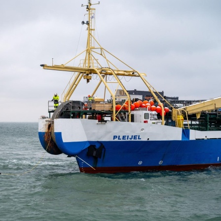 Das Kabelverlegeschiff „Pleijel“ liegt auf der Ostsee vor Rügen. Vor ihm ein bemanntes Schlauchboot - zwischen den Booten hängt ein gelbes Kabel, das Unterseekabel.