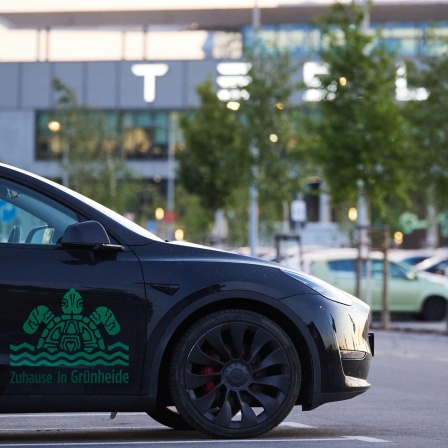 Ein Tesla, auf dem eine Schildkröte und der Spruch "Zuhause in Grünheide" steht, steht vor dem Tesla-Werk.