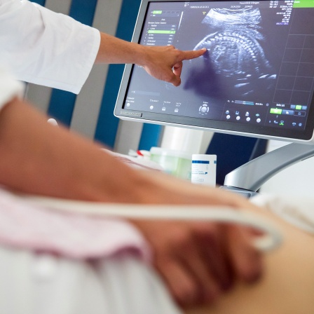 Ein Arzt einer Frauenklinik führt eine pränatale Ultraschall-Untersuchung an einer schwangeren Frau durch.