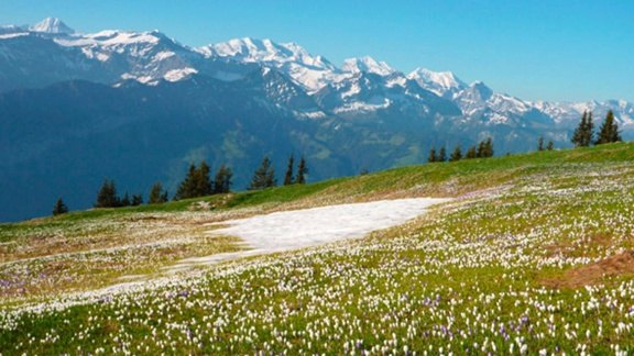 Erlebnis Erde - Erlebnis Erde: Mit Dem Frühling Durch Europa (2)