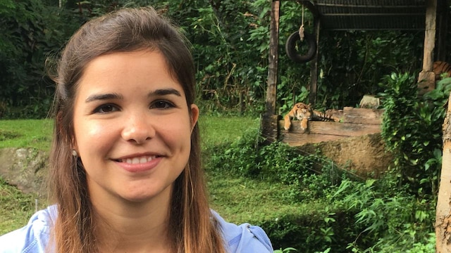 Anna besucht eine Aufzuchtstation für Tiger auf der Insel Java.