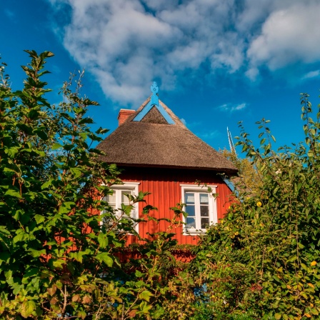 Ein rotes Landhaus ragt hinter grünen Buschen hervor.