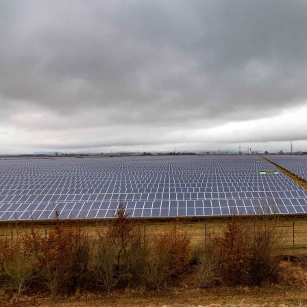 Energieerzeugung mit Photovoltaik (Bild: imago images/Harry Koerber)