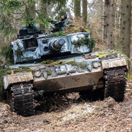 Ein polnischer Leopard 2 steht während der internationalen Militärübung «Allied Spirit 2022» auf dem Gelände des Truppenübungsplatzes Hohenfels in einem Waldstück.